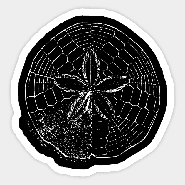 Sand Dollar Sticker by Red Bayou